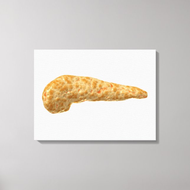 Impressão Em Tela Imagem Conceitual Do Pâncreas Humano (Frente)