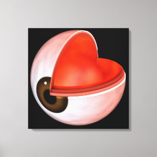 Impressão Em Tela Imagem conceptual da anatomia 8 do olho humano