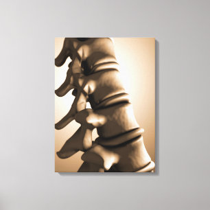 Impressão Em Tela Imagem conceptual da espinha dorsal humana 4