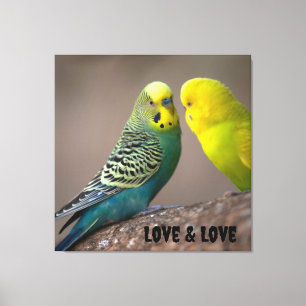 Impressão Em Tela Imagem de pássaros Amor e Texto Amor Esticado Pers