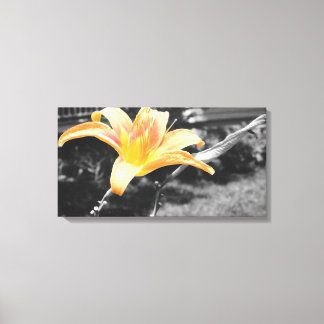 Impressão Em Tela Imagem Lily do Dia Laranja