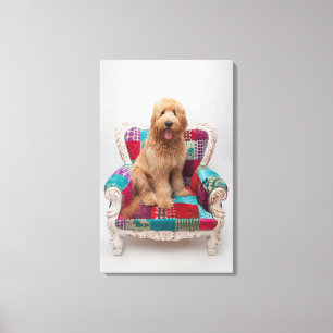 Impressão Em Tela Imagens de Getty Goldendoodle bonito