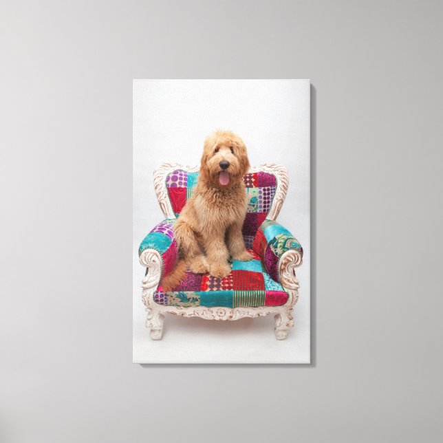 Impressão Em Tela Imagens Getty | Goldendoodle (Frente)