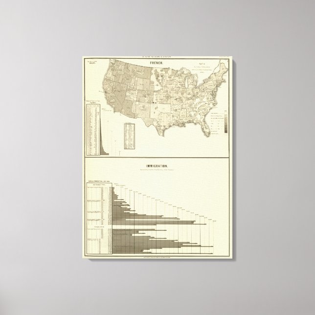 Impressão Em Tela Imigração Francesa (Frente)