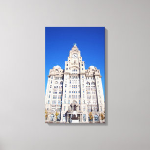 Impressão Em Tela Impressão da tela do fígado