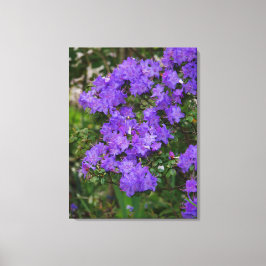 Impressão Em Tela Impressão de Tela Azalea Roxa