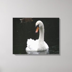 Impressão Em Tela Impressão de tela branca Swan