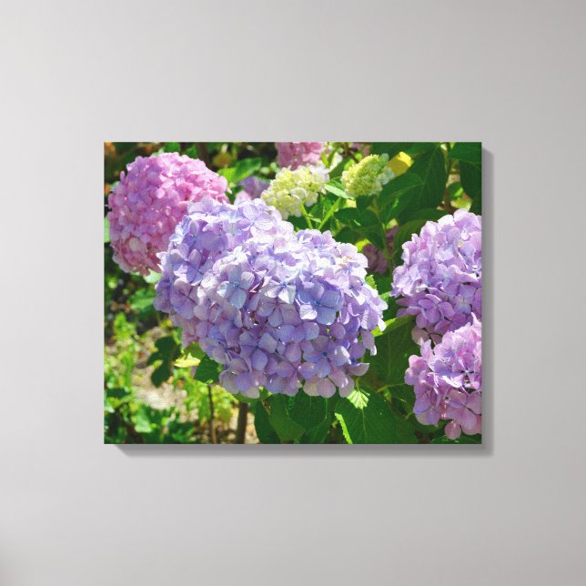 Impressão Em Tela Impressão de tela de desenho Hydrangea (Frente)