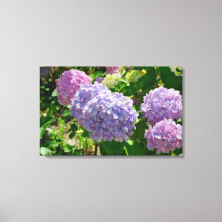 Impressão Em Tela Impressão de tela de desenho Hydrangea