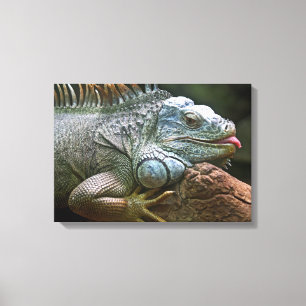 Impressão Em Tela Impressão de tela de fecho Iguana