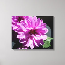 Impressão Em Tela Impressão de Tela de Ordenação