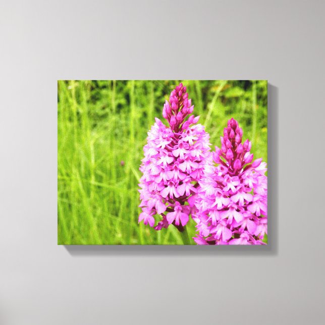 Impressão Em Tela Impressão de Tela de Orquídea Piramidal (Frente)