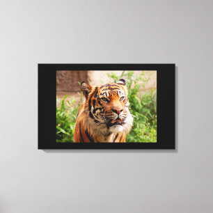 Impressão Em Tela Impressão de tela de tigre preto e branco