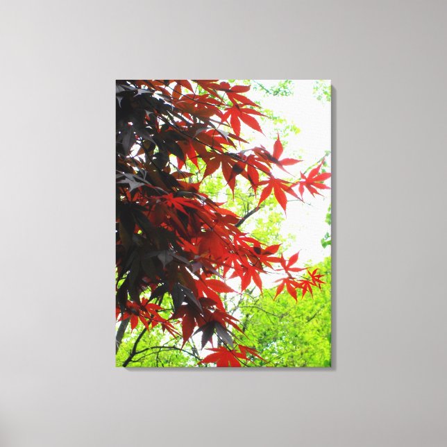 Impressão Em Tela Impressão de tela enrolada 'Fiery Maples' (Frente)