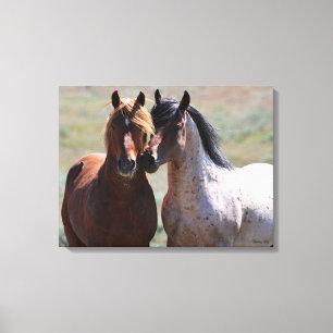 Impressão Em Tela Impressão de tela estendida