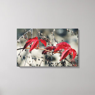 Impressão Em Tela Impressão de tela estendida do outono vermelho