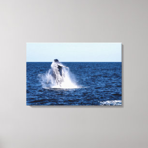 Impressão Em Tela Impressão de Tela Esticada da Baleia Humpback