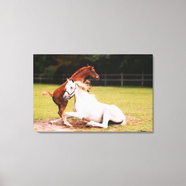 Impressão Em Tela Impressão de tela esticada do Mare Árabe (Frente)