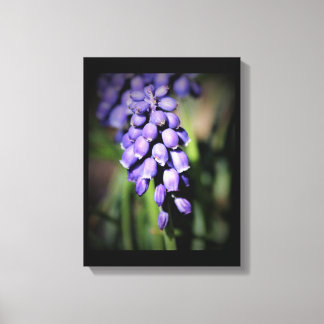 Impressão Em Tela Impressão de Tela Floral do Hyacinth Grape