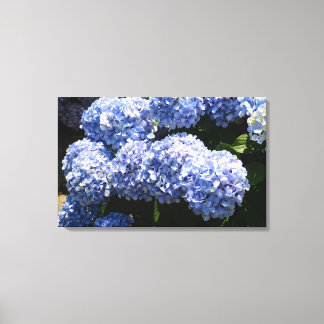 Impressão Em Tela Impressão de Tela Hydrangea Azul
