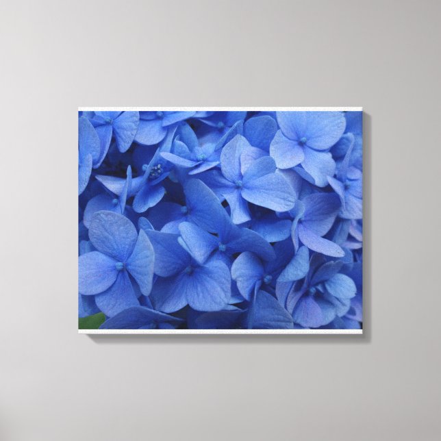 Impressão Em Tela Impressão de Tela Hydrangea Azul (Frente)