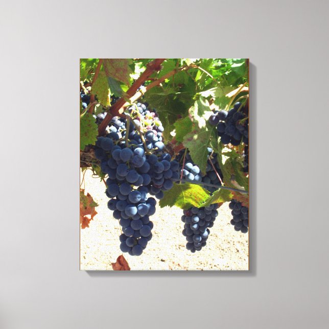 Impressão Em Tela Impressão de tela - Uvas Roxas na Vinha (Frente)