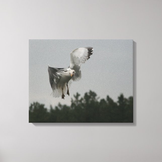 Impressão Em Tela Impressão de Tela Zag Zig (Frente)