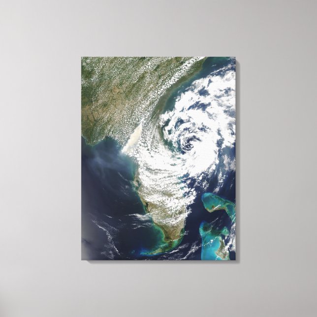 Impressão Em Tela Incêndios e fumaça na Geórgia e na Flórida (Frente)