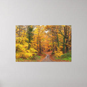 Impressão Em Tela Incrível cor da floresta de outono em inglês com