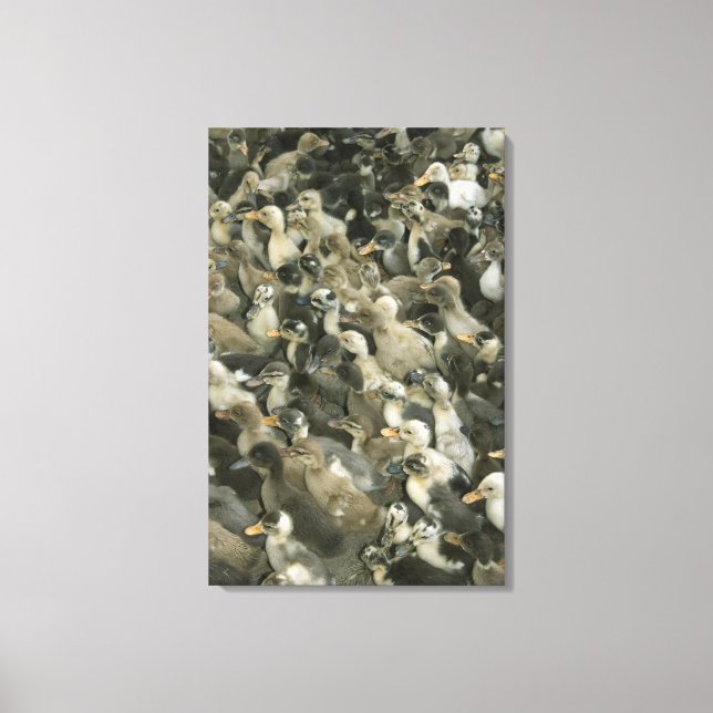 Impressão Em Tela Índia (Frente)