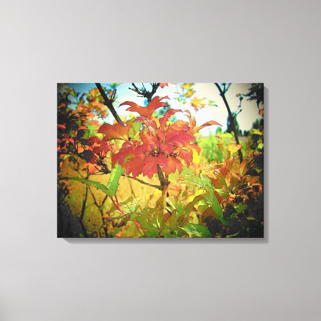 Impressão Em Tela Indian Summer Colors por djoneill (Frente)