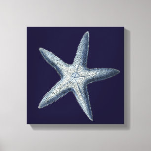 Impressão Em Tela Indigo Shells IV