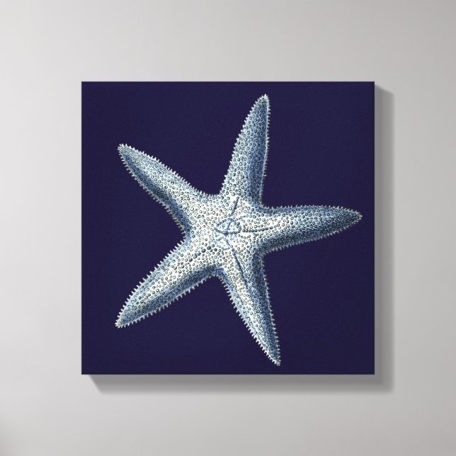 Impressão Em Tela Indigo Shells IV (Frente)