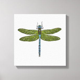 Impressão Em Tela Inseto Dragonfly fecha cores vibrantes