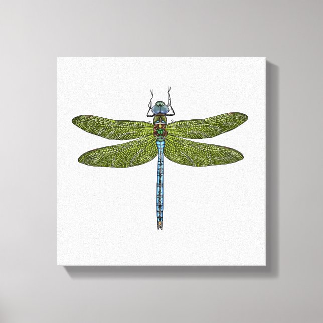 Impressão Em Tela Inseto Dragonfly fecha cores vibrantes (Frente)