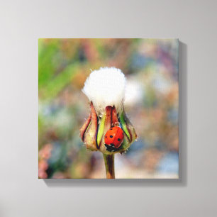 Impressão Em Tela Inseto Ladybug primavera verde vermelho ambiente C