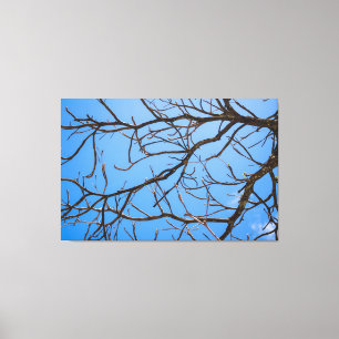 Impressão Em Tela Intricate Bare Branches Silhouette Against Vivid B