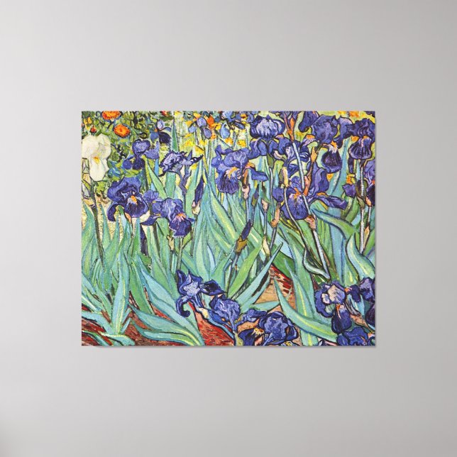 Impressão Em Tela Íris de Van Gogh Pintura Impressionista (Frente)