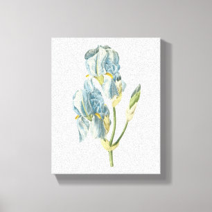 Impressão Em Tela íris doce (pallida da íris) por Redouté