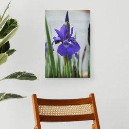 Impressão Em Tela Íris Roxa Botânica Floral Fotográfica