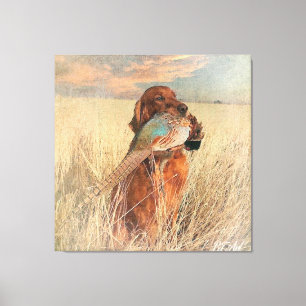Impressão Em Tela Irish Setter com faisão