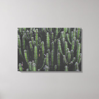 Impressão Em Tela "Irmãs Prickly"