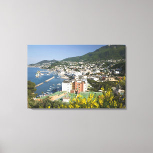 Impressão Em Tela ITÁLIA, Campânia, (Baía de Nápoles), ISCHIA, LACCO