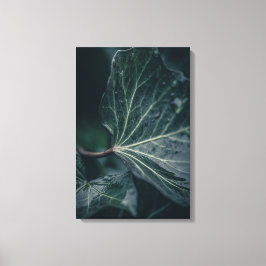 Impressão Em Tela Ivy Leaf Nature Photo