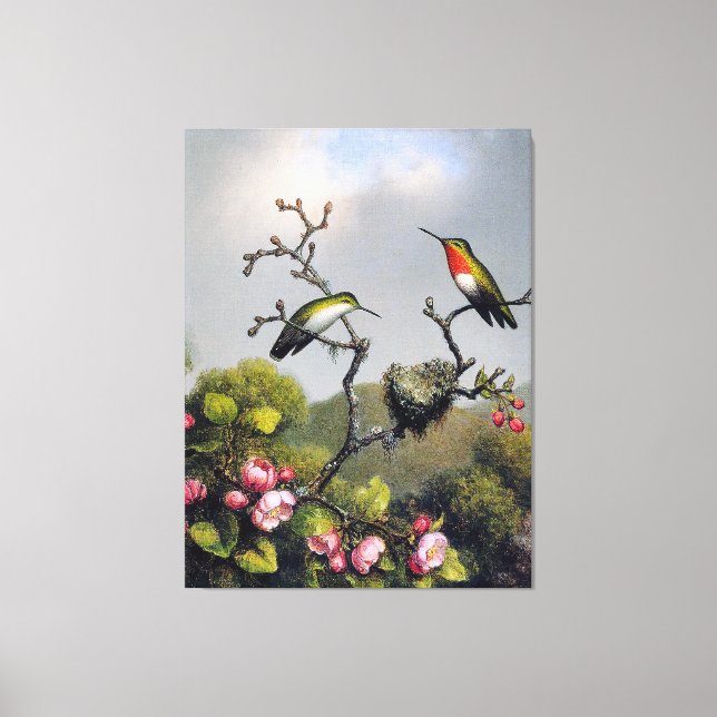 Impressão Em Tela J. HEADE - Ruby Throat da América do Norte (1865) (Frente)