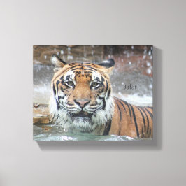 Impressão Em Tela Jafar