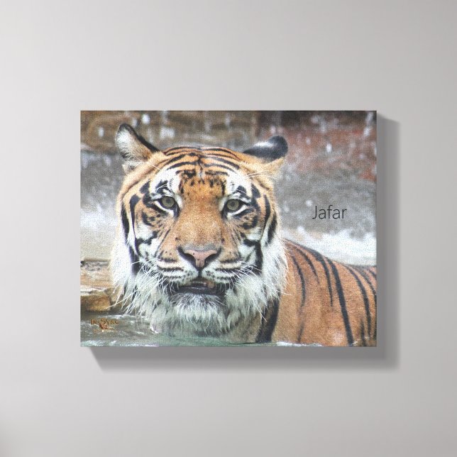 Impressão Em Tela Jafar (Frente)