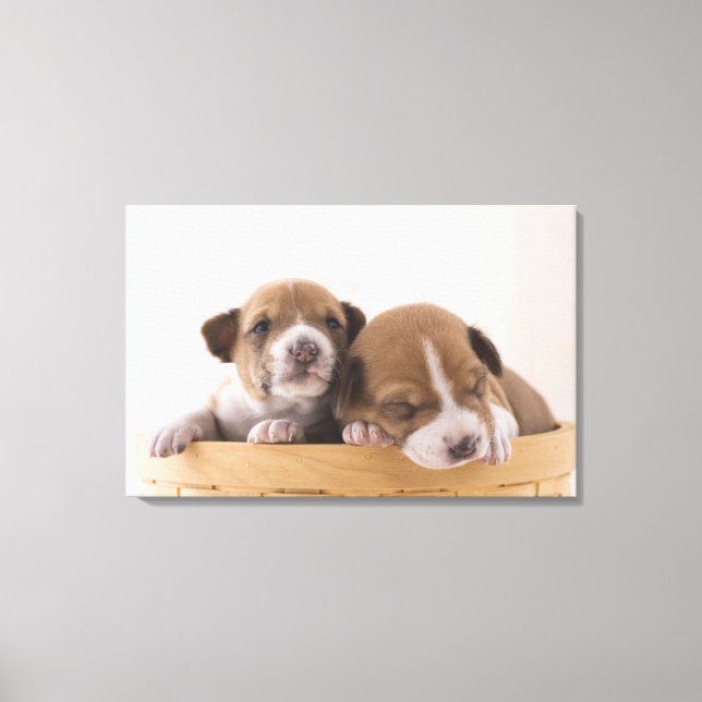 Impressão Em Tela Japão 5 (Frente)