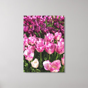 Impressão Em Tela Jardim de Tulipas Púrpura e Rosa, Oregon