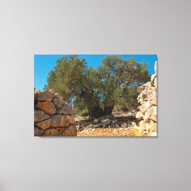 Impressão Em Tela Jardins Olivais de Lun (Frente)